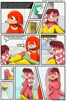 Knuckles-And-Lara-Le-s-Shower002 free sex comic